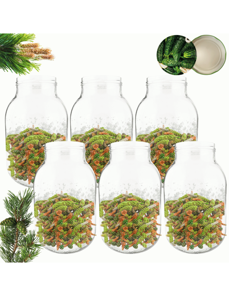 Słoiki - Słoiki 4000ml 4l na ogórki soki cukinia grzyby nalewki 6kpl zakrętki 100mm - product b2b.wamar.biz 1