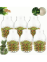 Słoiki 4000ml 4l na ogórki soki cukinia grzyby nalewki 6kpl zakrętki 100mm