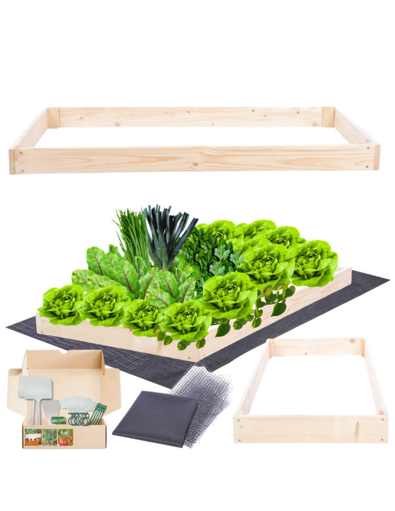 Grządki kaskadowe - Skrzynia na warzywa regulowana skrzynie na warzywniak inspekt 9x60x60 - product b2b.wamar.biz 1